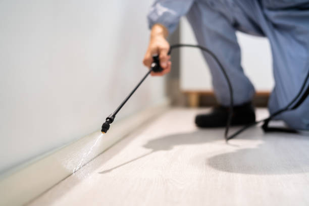 Licensed Fumigation Services service in Atlantic, IA - Nex Pest Control